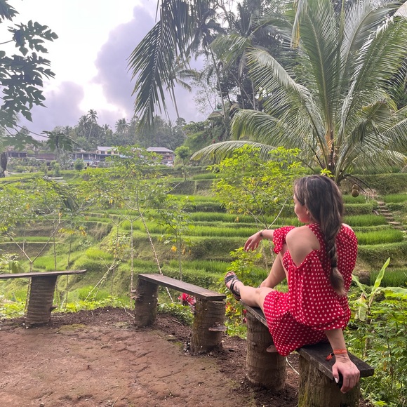 Meet your Posher, Bella - Picture 1 of 3